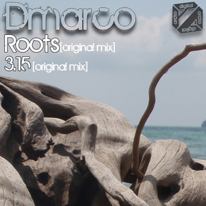 Roots (Original Mix)
