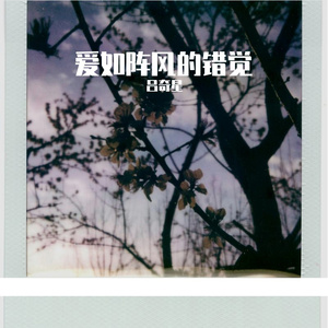 爱如阵风的错觉