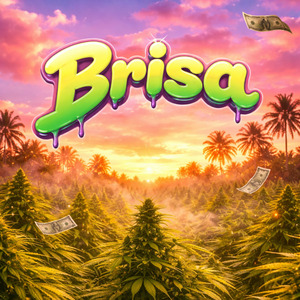 Brisa