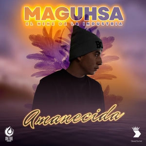 Amanecida