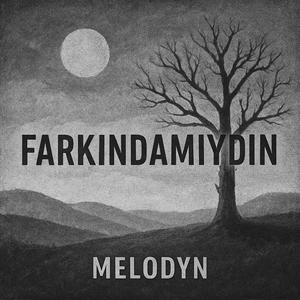 FARKINDAMIYDIN