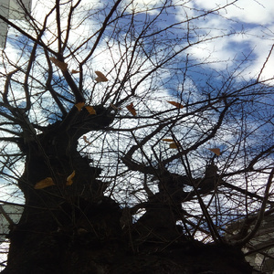 そのままの君で