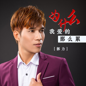 为什么我爱的那么累