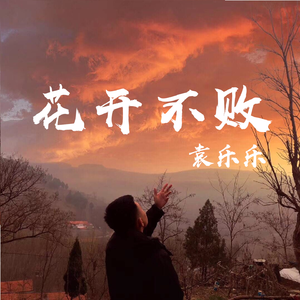 花开不败