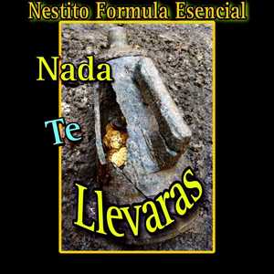 Nada Te Llevaras