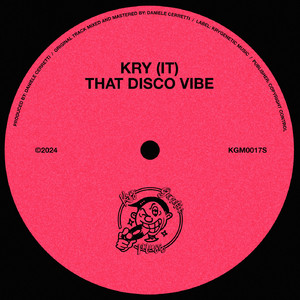 That Disco Vibe