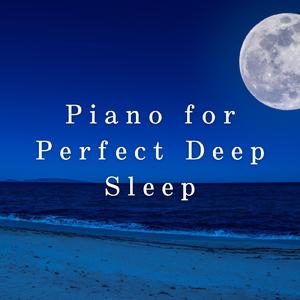 Quiet Moonlit Journey