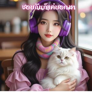 ชอบฉัน ก็แค่บอกมา