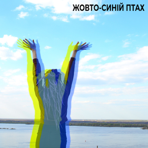 Жовто-синій птах