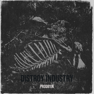 Distroy Industry