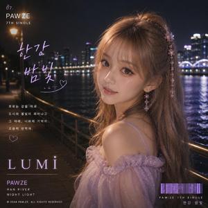 PAWZE l 한강 밤빛 Han River Night Lights