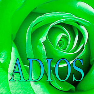 Adios