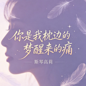 你是我枕边的梦醒来的痛