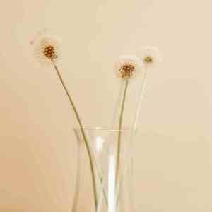 青山隐隐 (安神修心迷幻手碟)