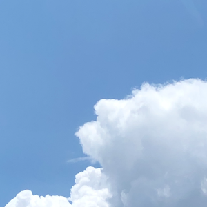 Dream A Little Dream Of Me