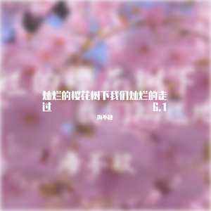 灿烂的樱花树 6.1