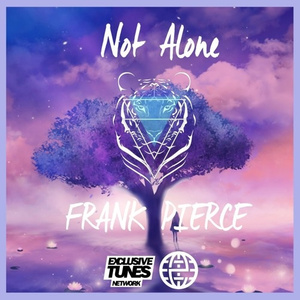 Not Alone (Original Mix)