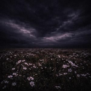 Washing machine heart (nightcore)