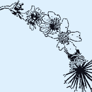 黎明、甦醒的土壤
