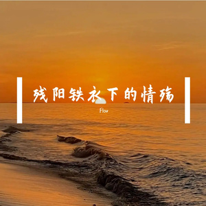 残阳铁衣下的情殇