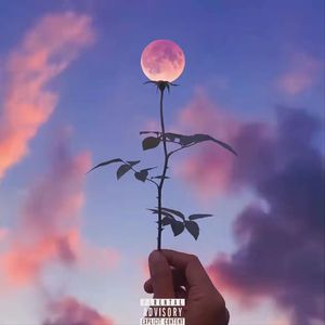 [free] 晚安，月亮