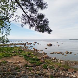 Сочинение №1