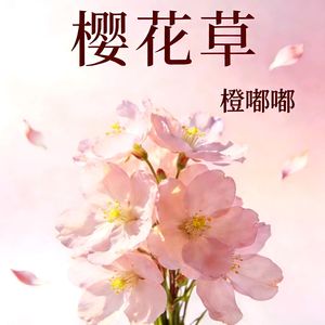 樱花草