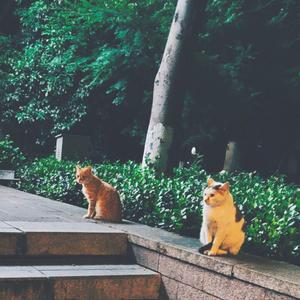 未寄出的信（Prod By ATTbeat）