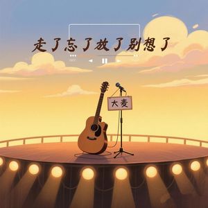 走了忘了放了别想了 (DJ浩然版)