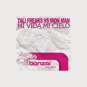 Mi Vida Mi Cielo (Vocal Mix)