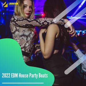 Brain Dead Beats (Festive Minimal Tech House)