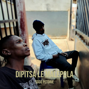 Ntako Nyesa