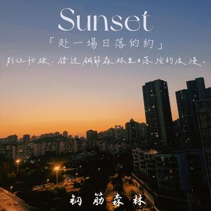 钢筋森林里的光