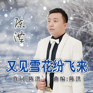 又见雪花纷飞来