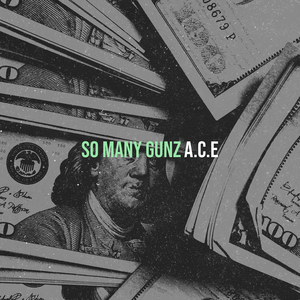 So Many Gunz
