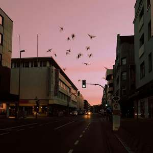 后会无期（女声版）