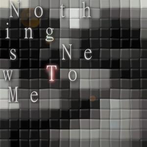 Nothing Is New To Me (feat. precettö)