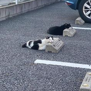 Just Like It (nightcore)