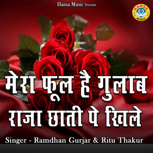 Mera Fool Hai Gulab Raja Chhaati Pe Khile