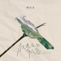 被遗忘的布谷鸟