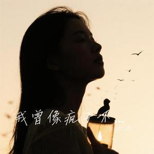 我曾像疯子不顾一切爱你 (冷冰冰 Remix)