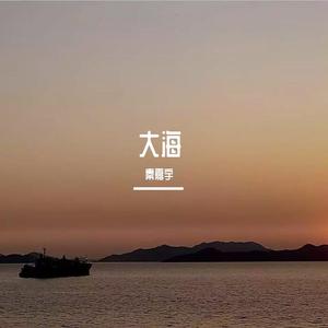 大海(柯柯吉他版)