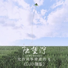 化作风筝肆意的飞 (DJ小刚版)