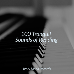 Misted Meadows of Calm