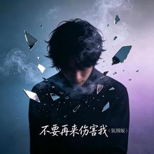 不要再来伤害我