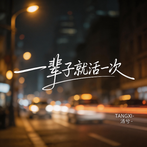 一辈子就活一次（伤感版）