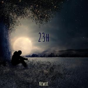 23 h