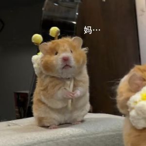 心中充满了希望