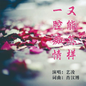 一腔痴情又能怎样