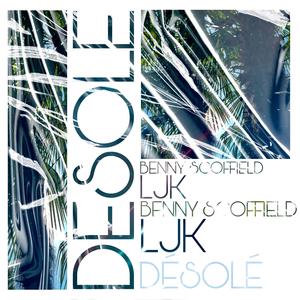 Désolé (feat. LJK)